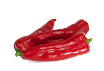 Spitzpaprika rot