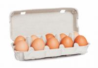 10 Biolandeier MHD 07.03.2026