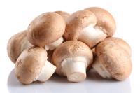 Steinchampignons