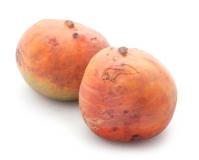 Gelbe Bete "Gelbe K&auml;the"