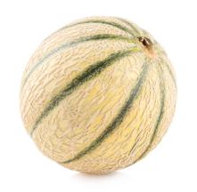 Melone Charentais