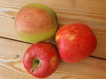 Apfel Ambassy