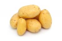 Kartoffeln -festkochend- Belana