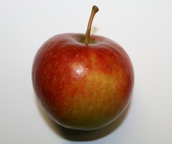 Apfel Natyra