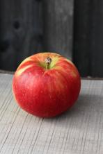 Apfel Santana - allergiearm