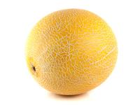 Melone Galia