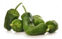Pimientos de Padr&oacute;n