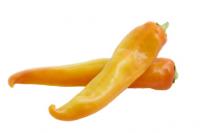 Spitzpaprika, gr&uuml;n