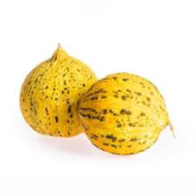 Honigmelone Thrakis